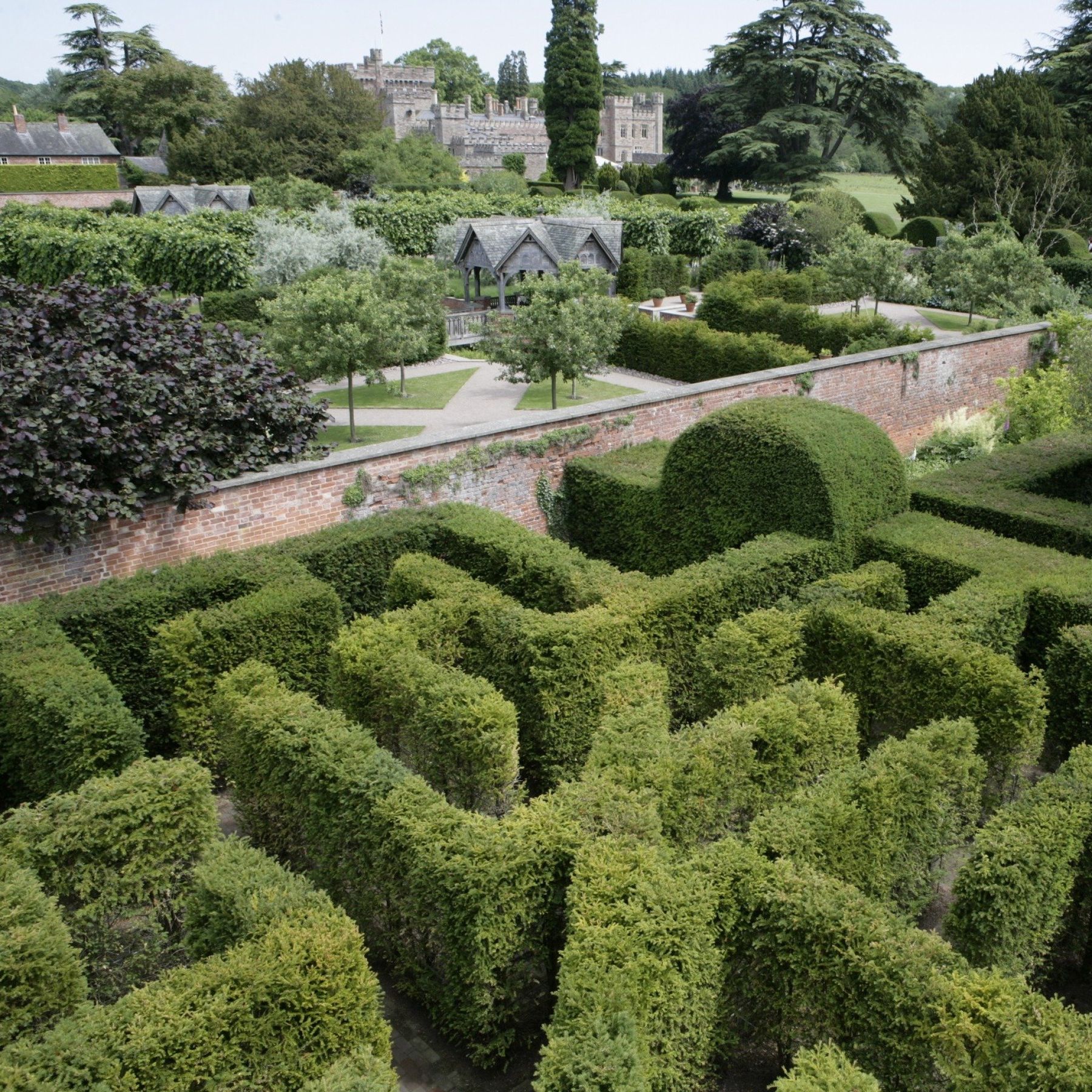 1000-Yew Maze