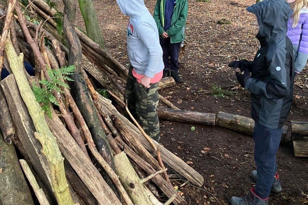 Den building