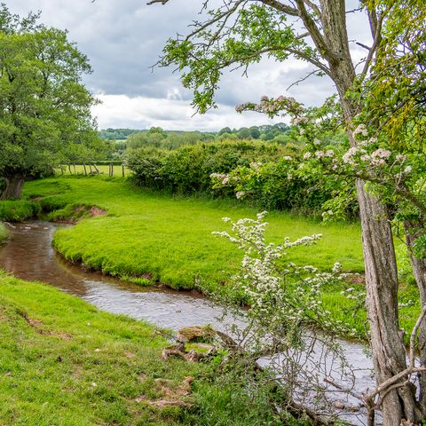 River Dore coming into Turnastone