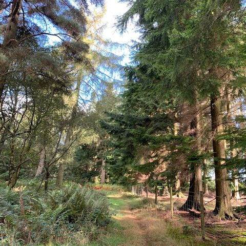 Into the Croft Estate