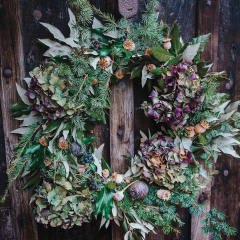 Willow Coppicing and Festive Workshop