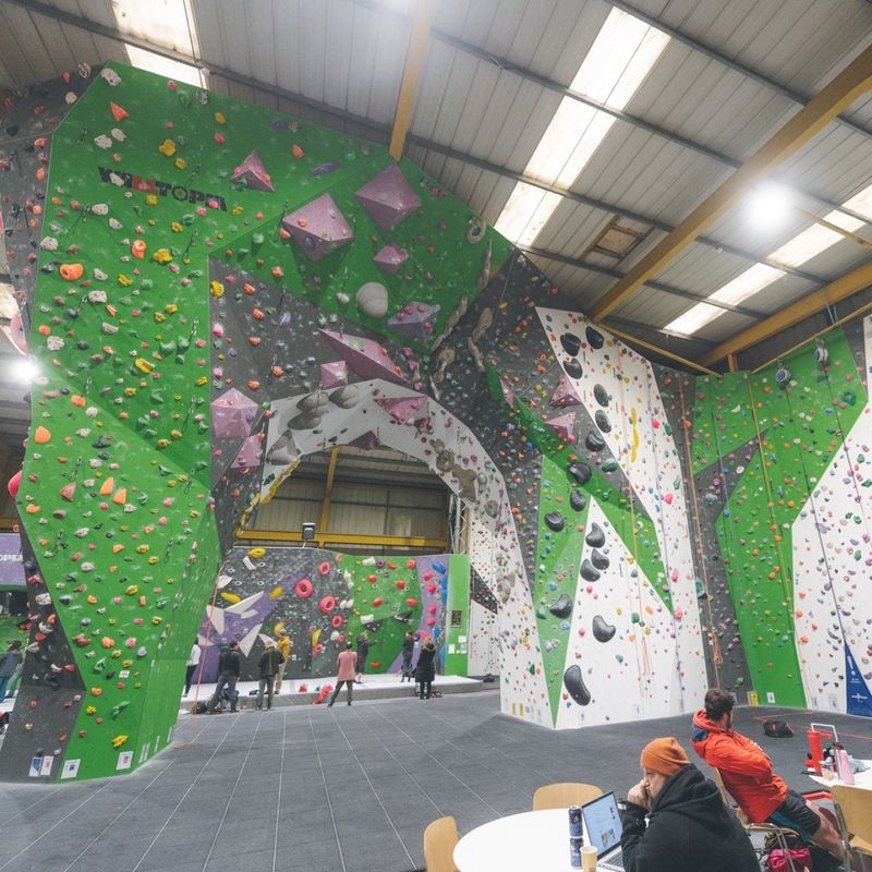 Green Spider Climbing