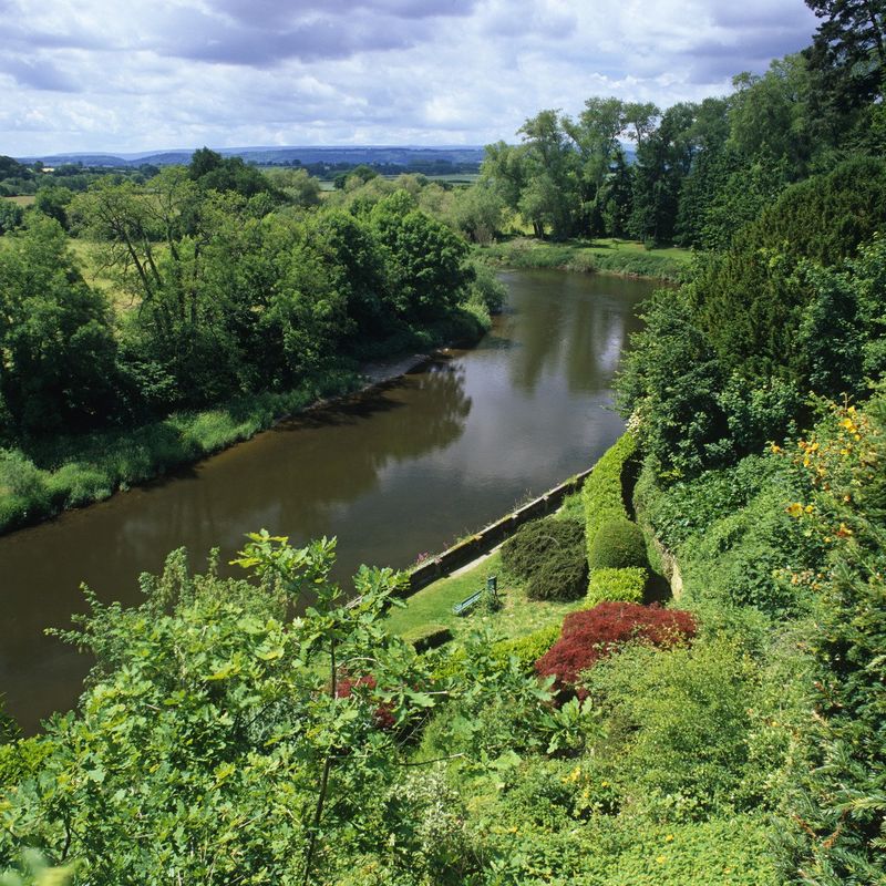 National Trust The Weir Garden