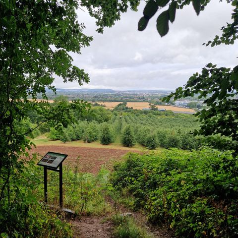 Out of the City — The Dinedor Walk