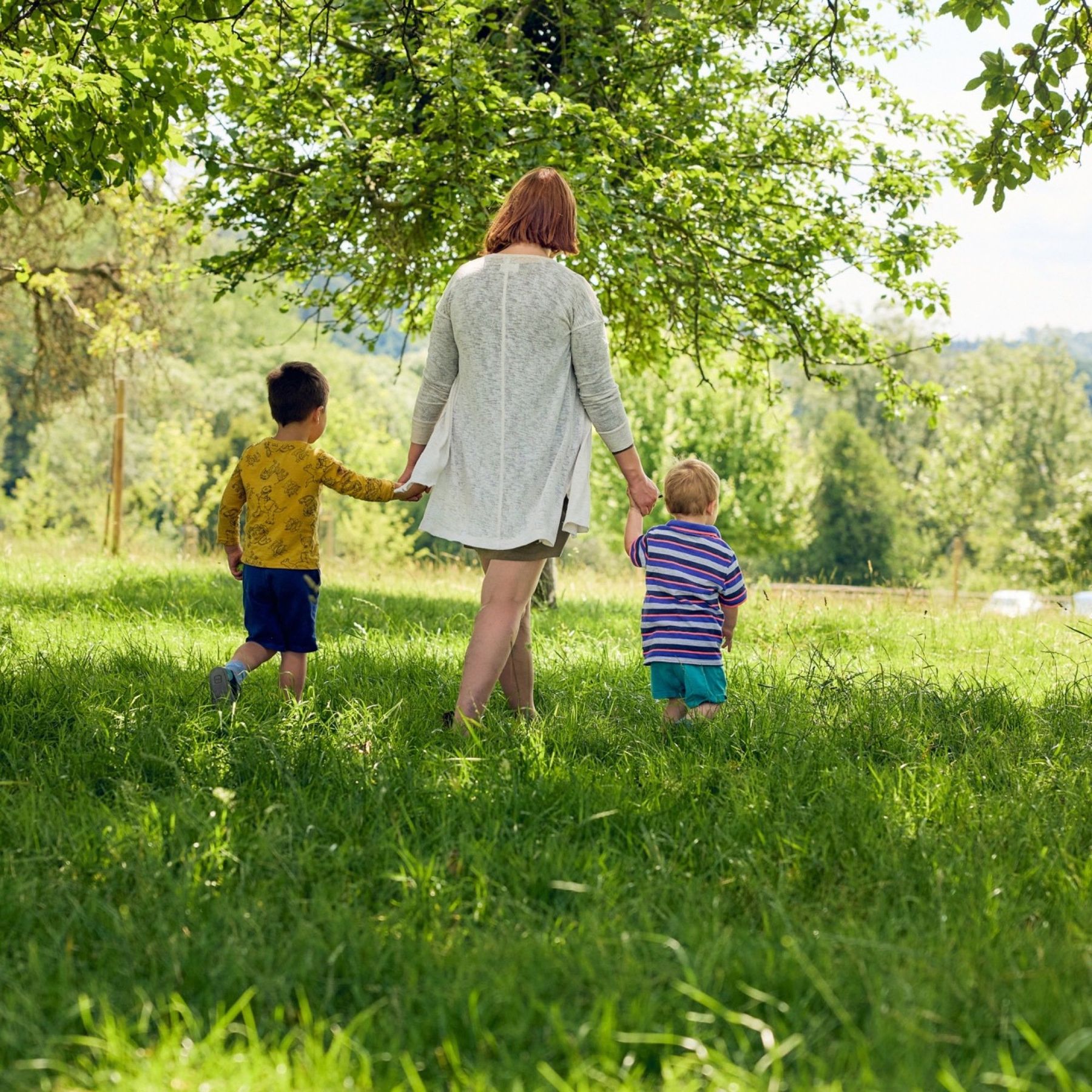 Explore our orchard