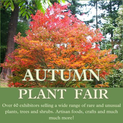 Hergest Croft Gardens Autumn Plant fair poster with large tree covered in red and orange leaves