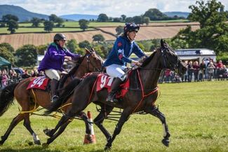 kington show