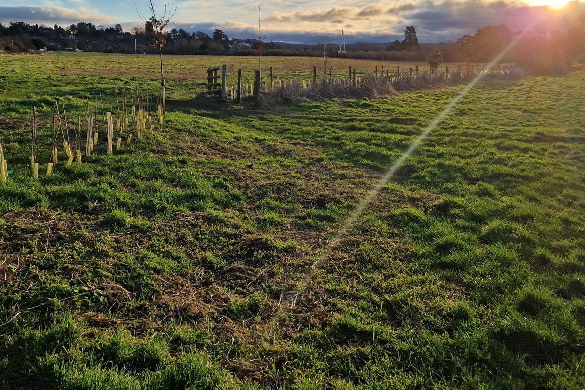 Out of the City — The Dinedor Walk