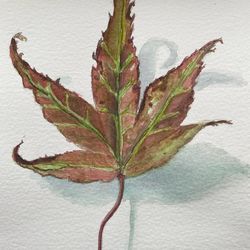 We offer beginner's drawing and painting courses which are designed to elevate your skill levels.