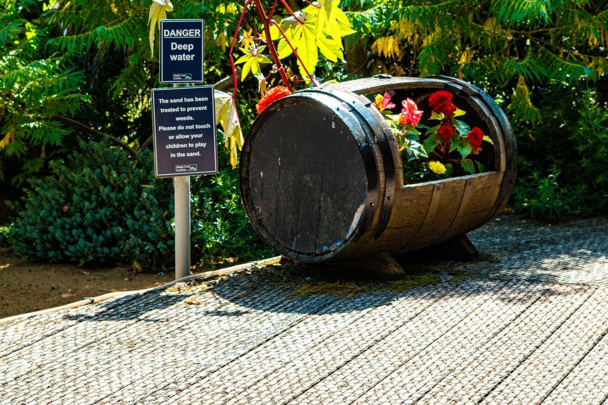 National Garden Scheme Open Day