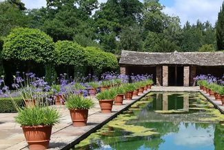Rectangular pool with potted plants at edges