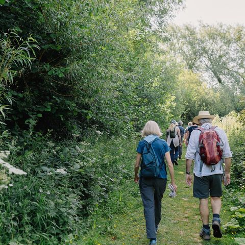 On the Trail