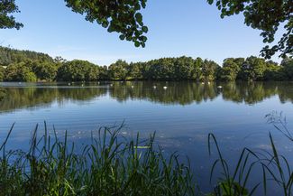 Titley Pool