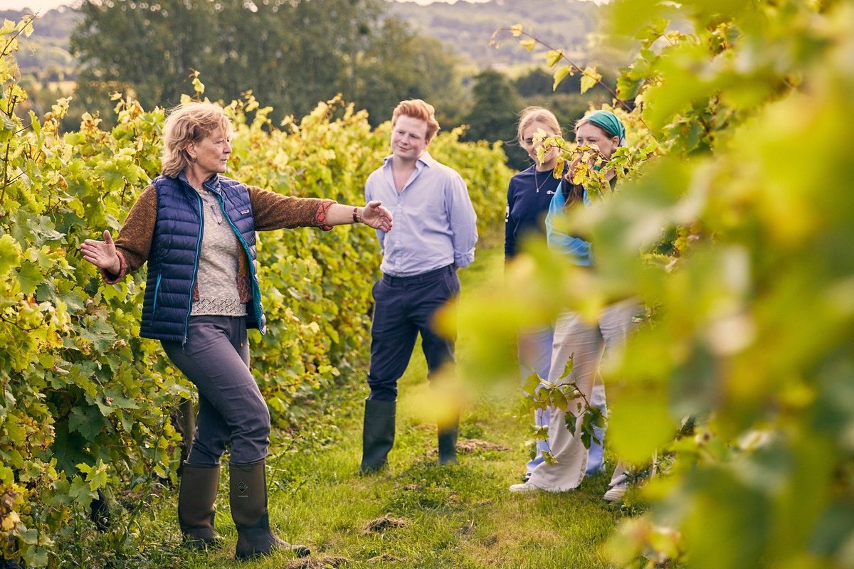 A vineyard tour at From Valley Vineyard