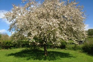 Butford Organics