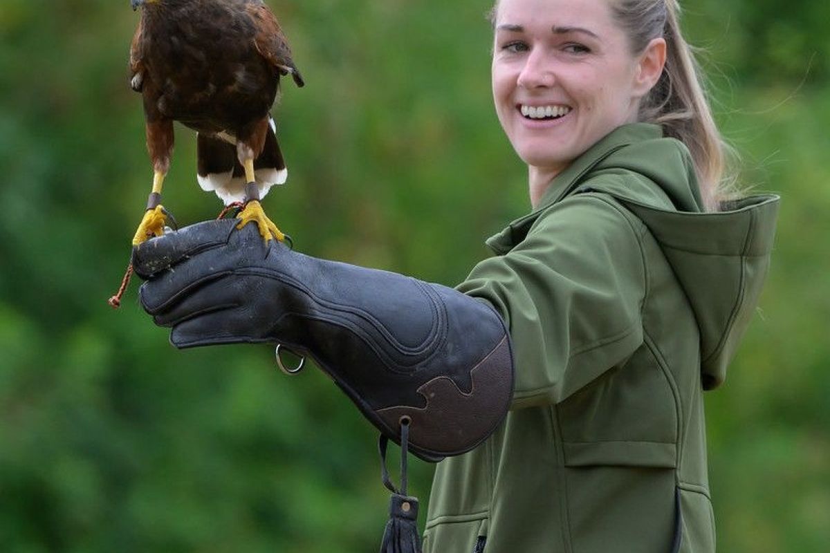 Falconry Sunday