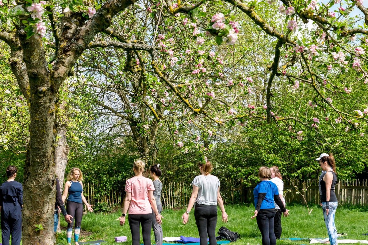 Yoga session in the orchard