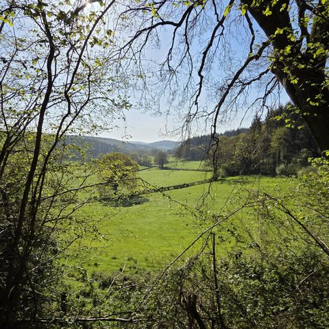 Guided walk: Herefordshire's Hidden Gems - wildlife & history around Mordiford