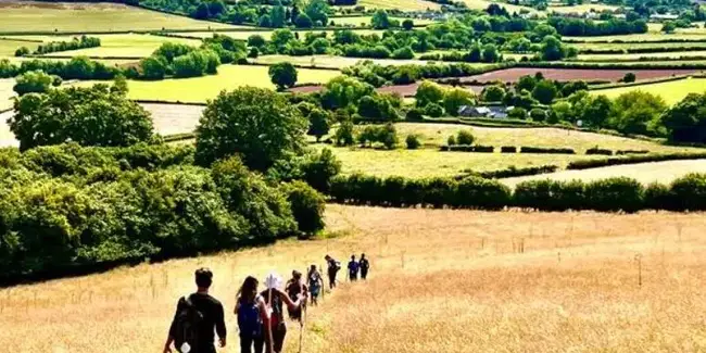 walking through golden fields