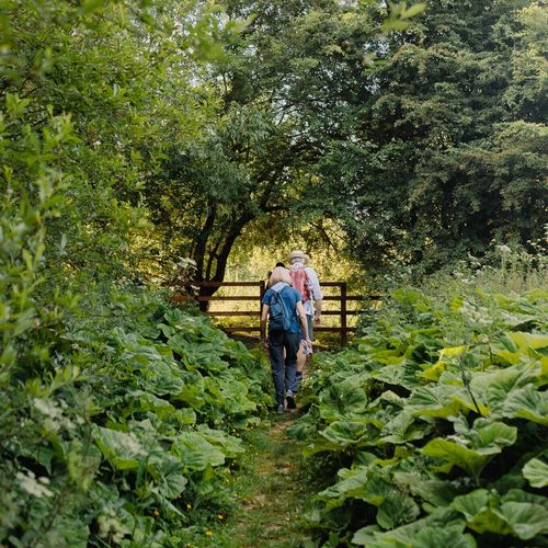 Easters Wood (Woodland Trust)