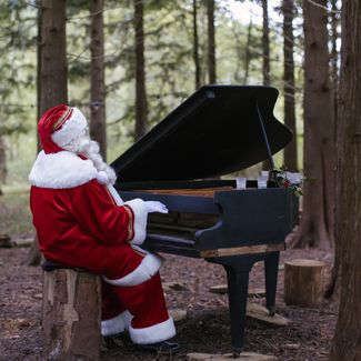 Father Christmas plays the piano in the woods