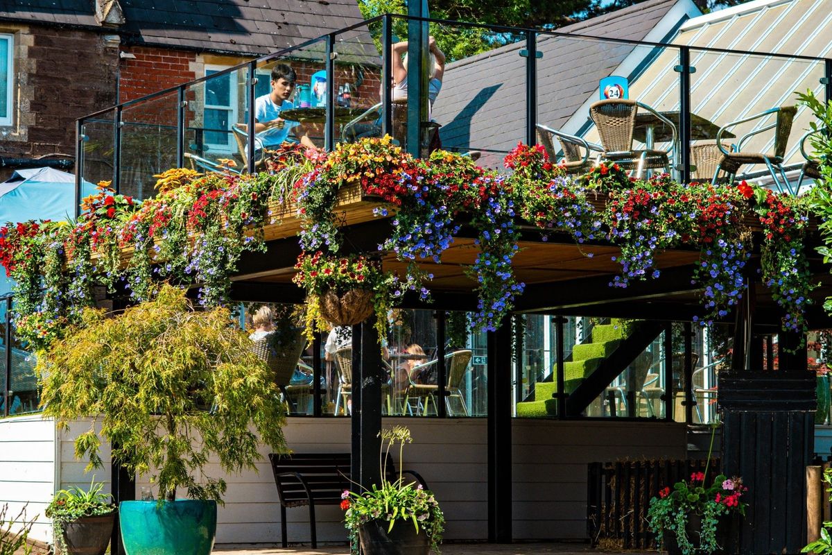 National Garden Scheme Open Day