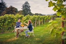 couple sitting at a table with wine in a vineyard