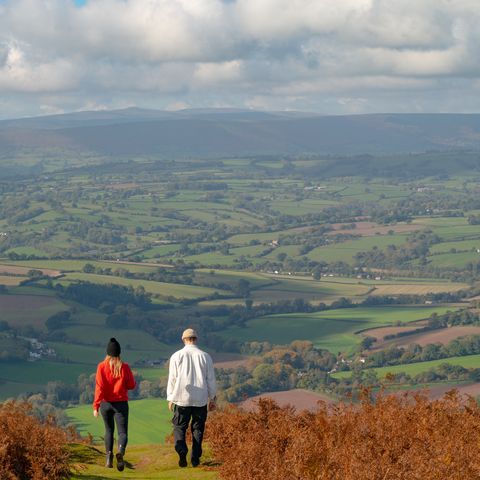Hergest Ridge