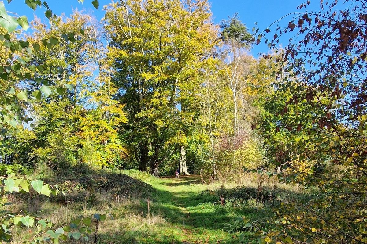 Out of the City — The Dinedor Walk