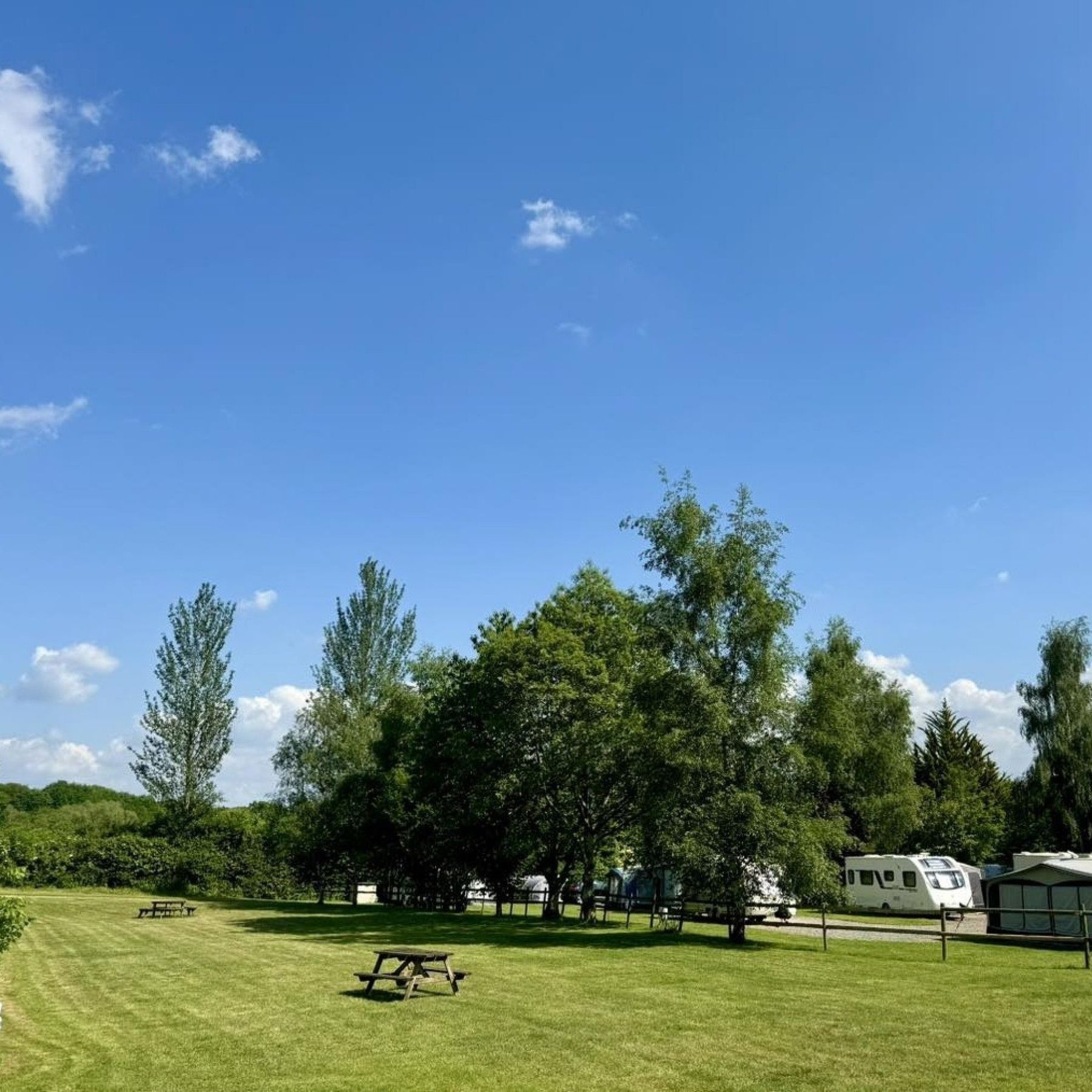 Park Avenue - camping field