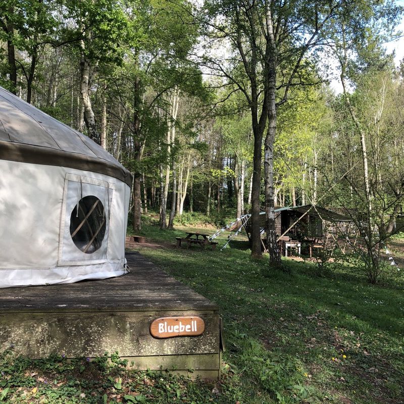 Woodland Tipi and Yurt Holidays