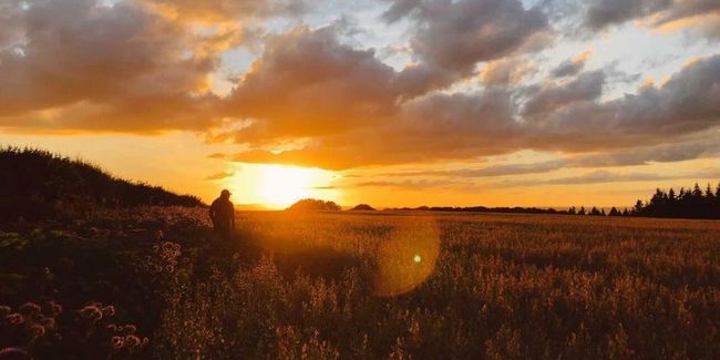 golden hour herefordshire