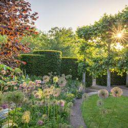 Image of the historic walled garden with the sun low peaking through the trees. Credit Jonathan Buckley