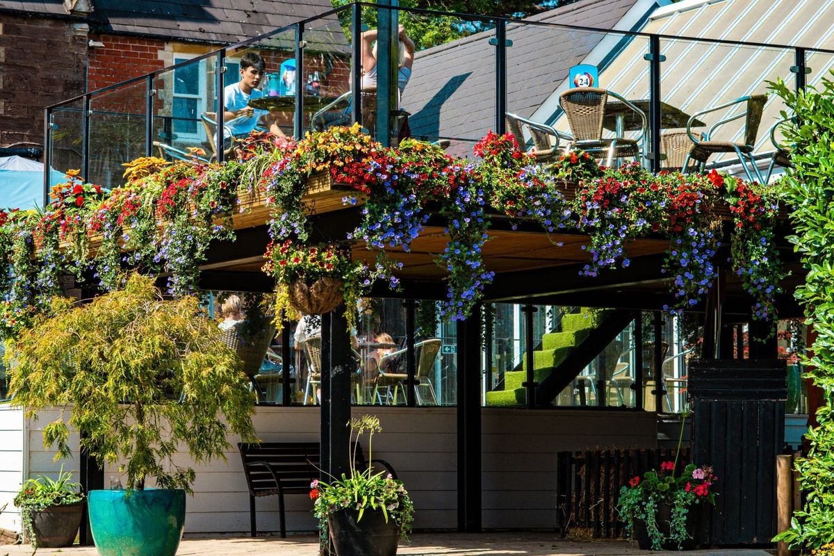 National Garden Scheme Open Day