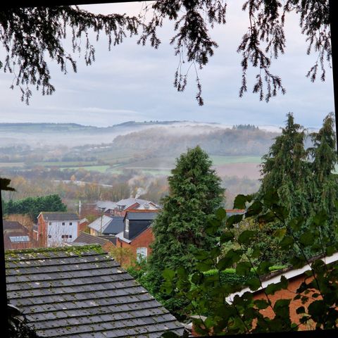Ledbury Woodland Wander - Free Guided Walk in Herefordshire