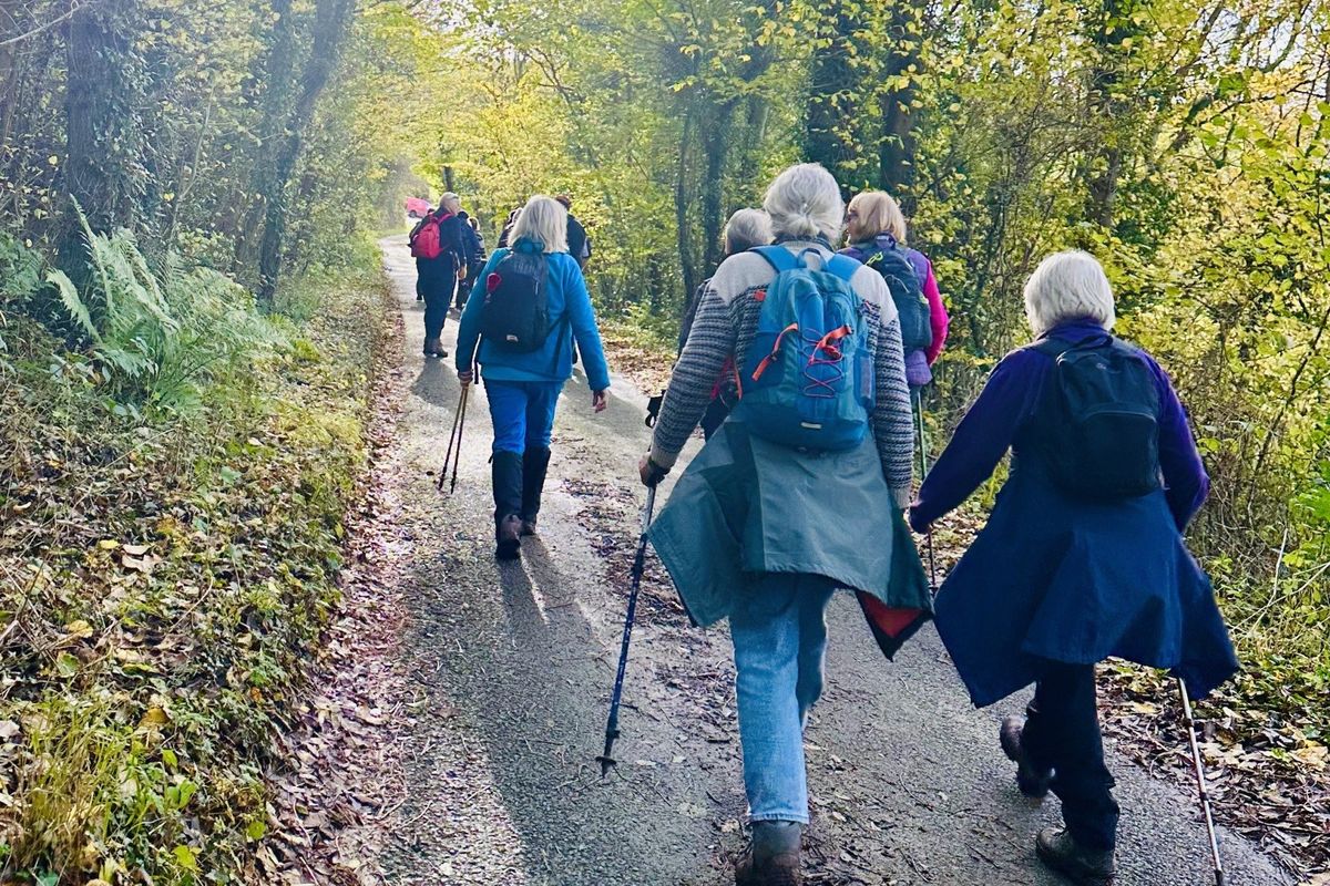 walkers on lane near Little mountain in woods