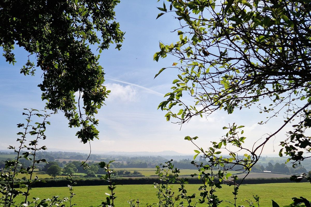 Family Walk: A river and orchards wander around Breinton