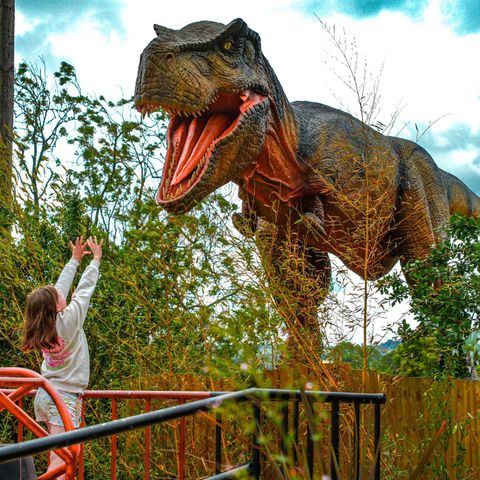 Who Let The Dinosaur Out? Summer Holidays Dinosaur Event