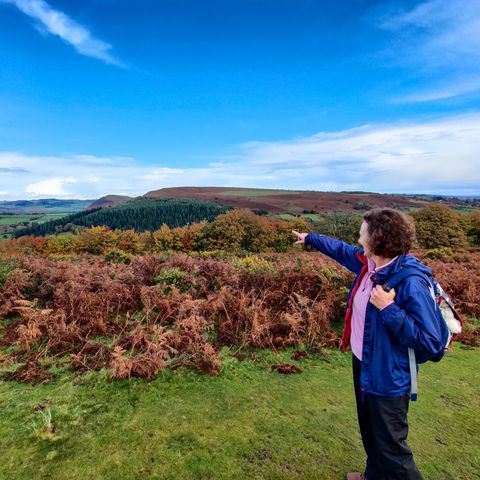 Hergest Ridge