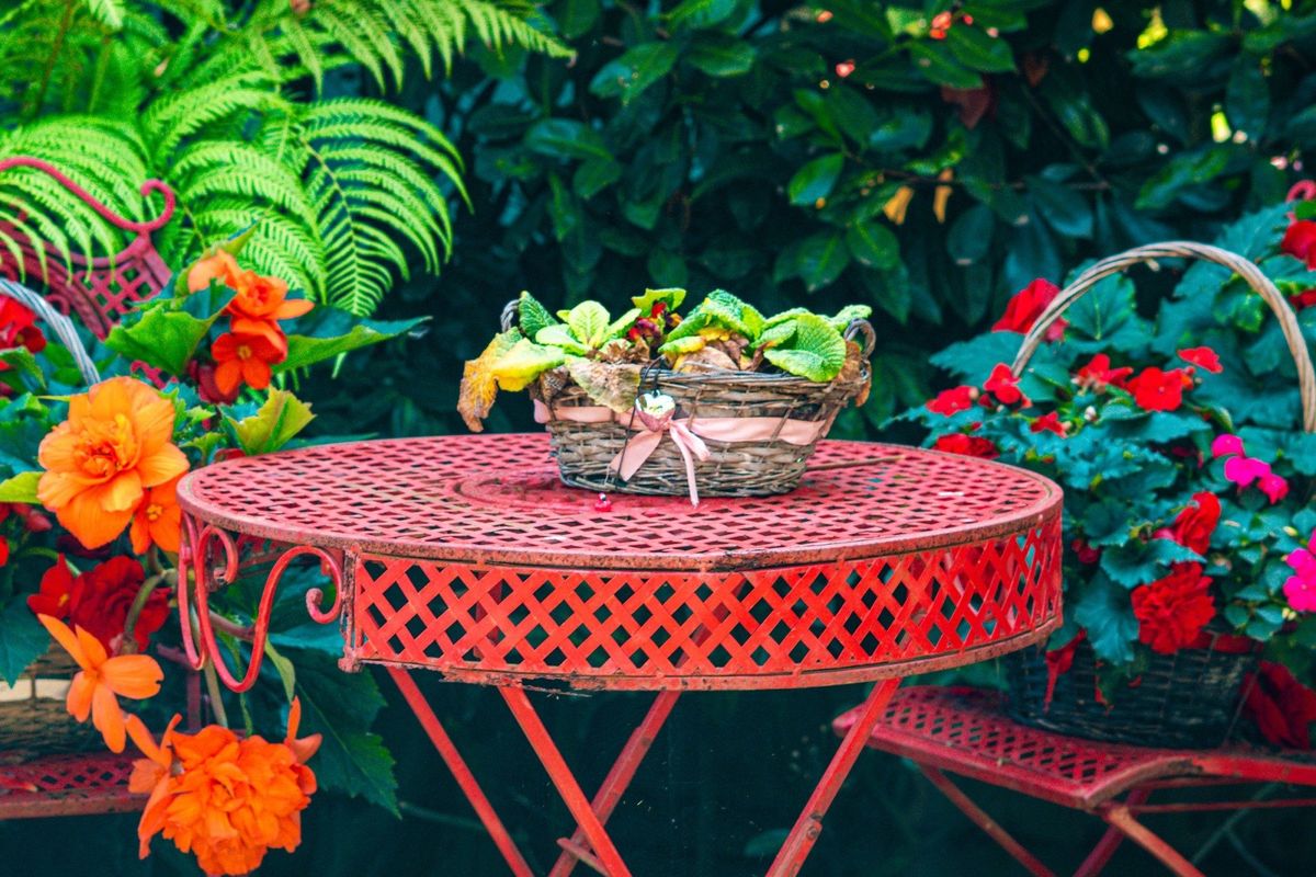 National Garden Scheme Open Day