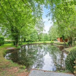 one of our ponds on site