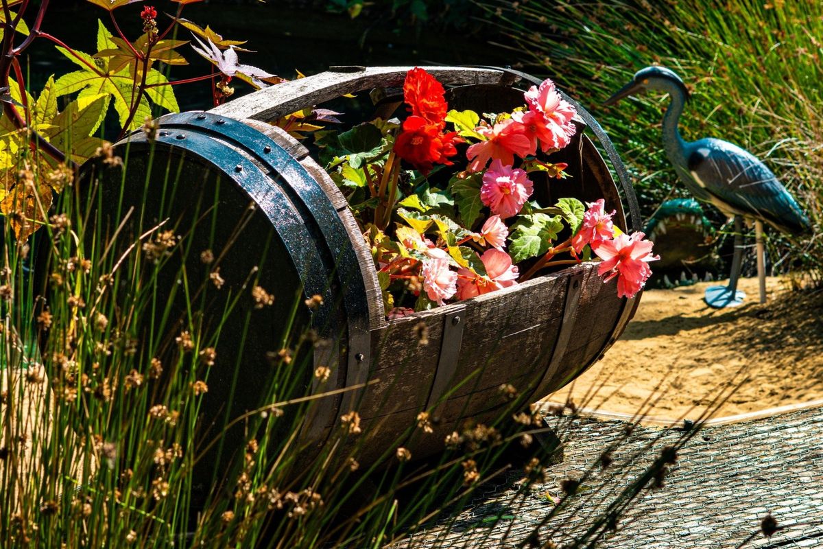 National Garden Scheme Open Day