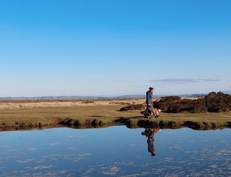Man walks dog on hill