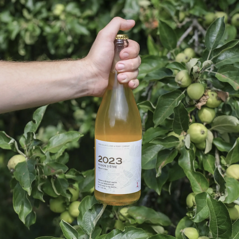 Ross cider bottle being held up against apple tree