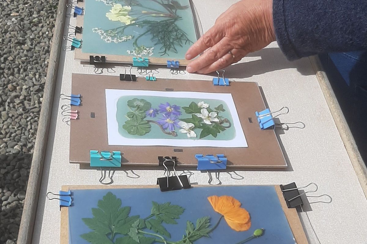 Cyanotype Blueprinting Workshops. Alexa Summers Art.