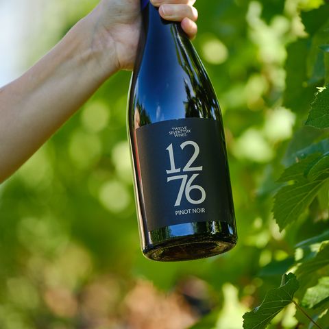 bottle of red wine being held up against vines in sunshine