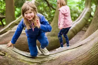 Climbing over treetrunks