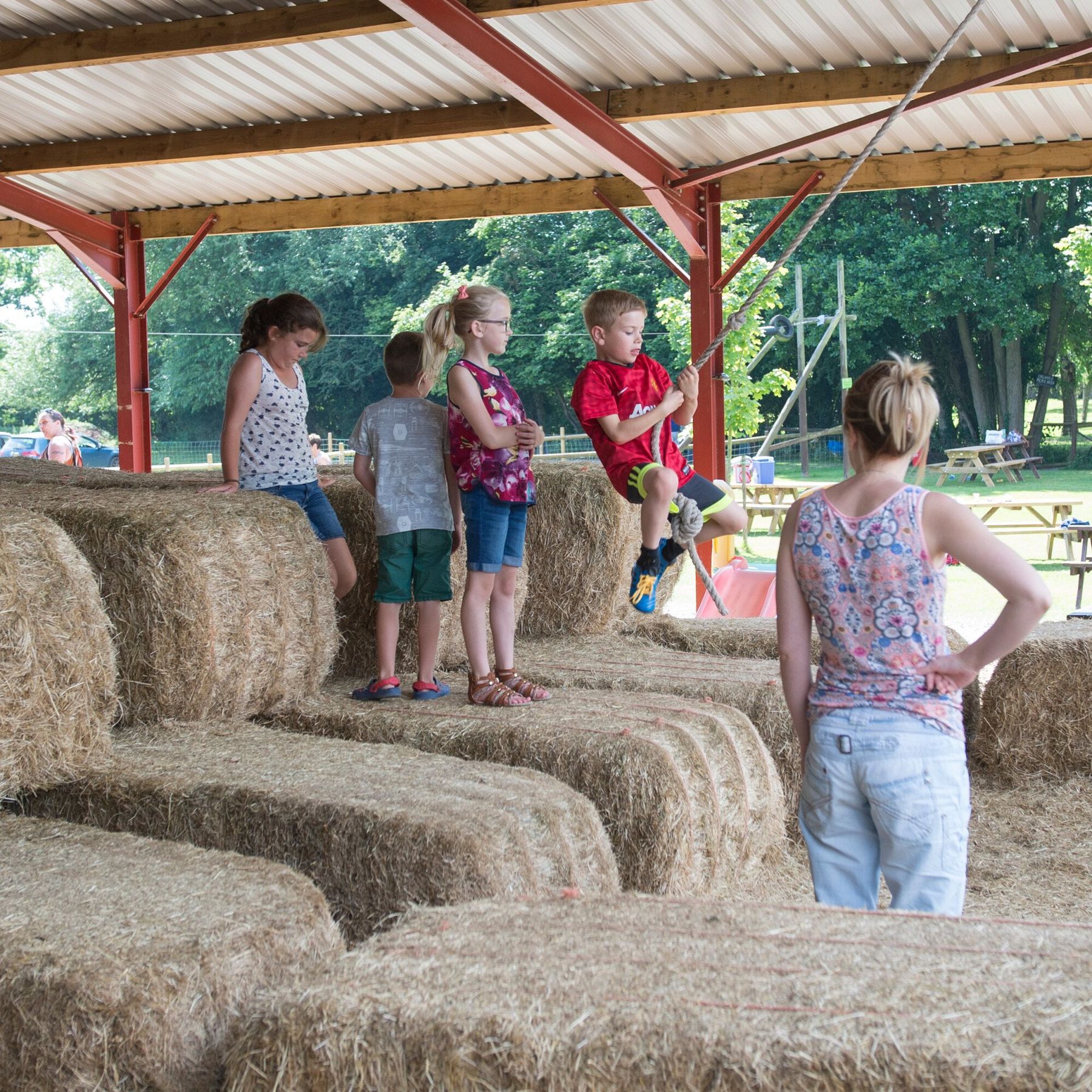Rope swing and Hay Hill