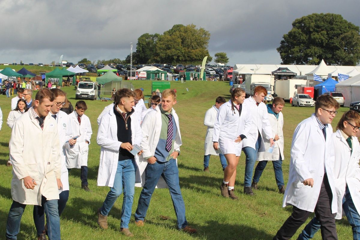 Kington Show