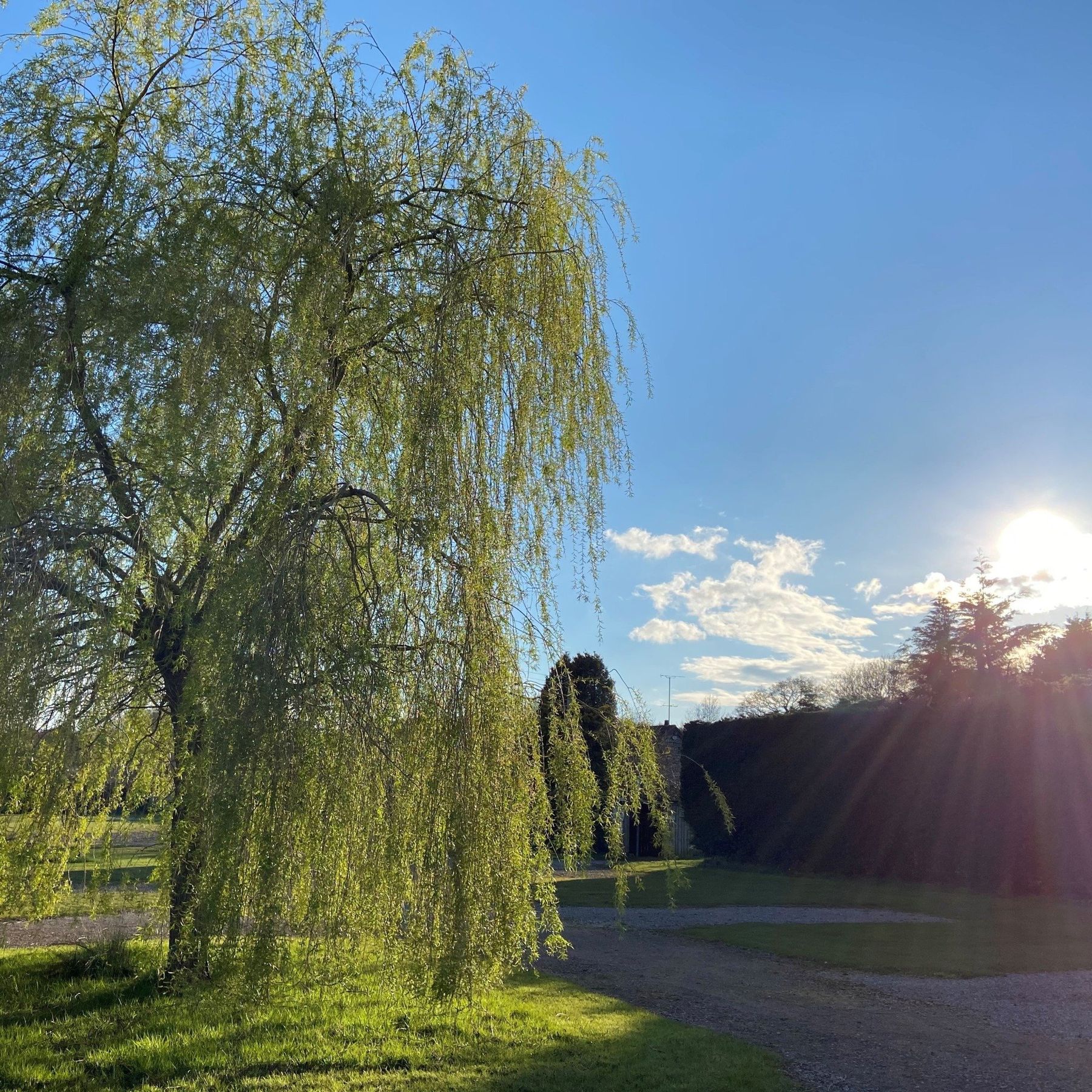 Meadow Brook camping field